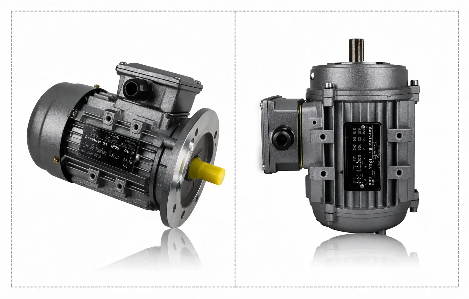 YS Series Gear Motor 1